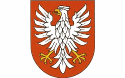 Odnośnik do Program stypendialny dla studentów kierunków medycznych